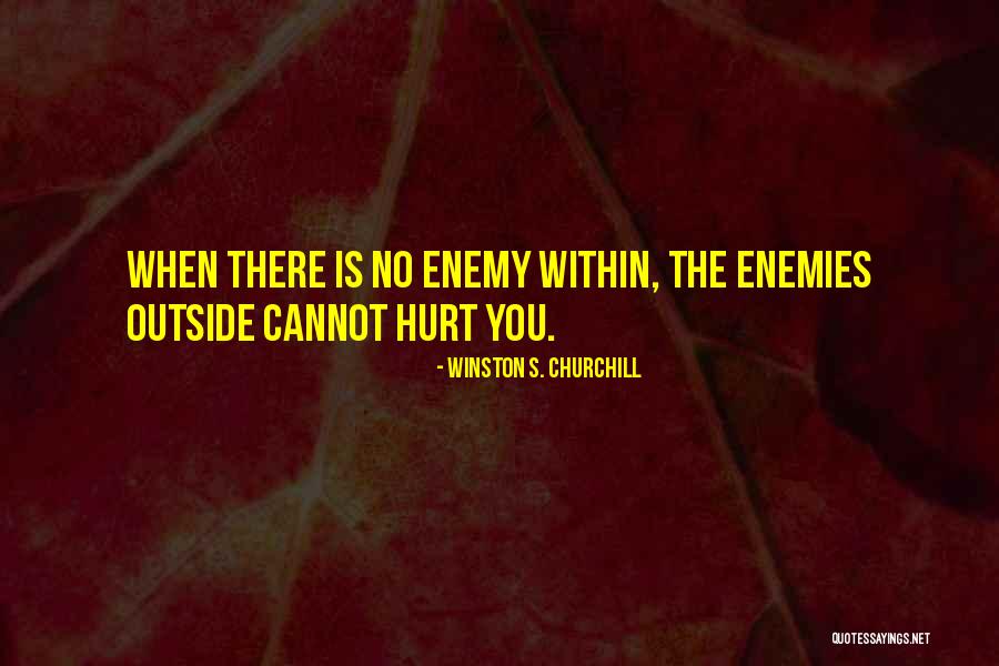 Enemies Within Quotes By Winston S. Churchill