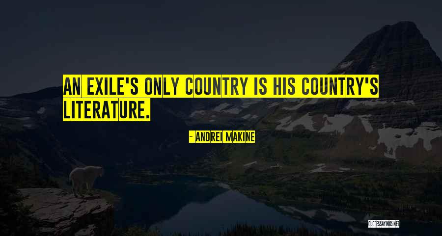 Enemigos Intimos Quotes By Andrei Makine Enemigos Intimos Quotes By Andrei Makine