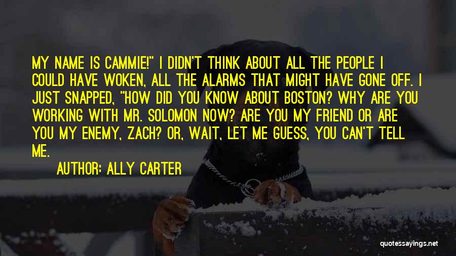 Enemy Ally Quotes By Ally Carter