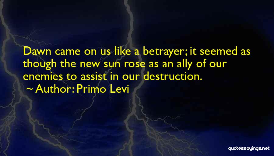 Enemy Ally Quotes By Primo Levi