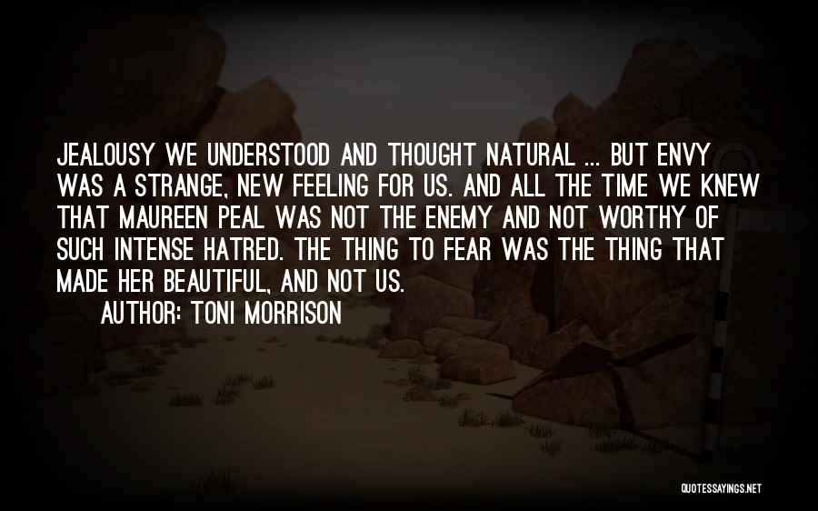 Enemy And Jealousy Quotes By Toni Morrison