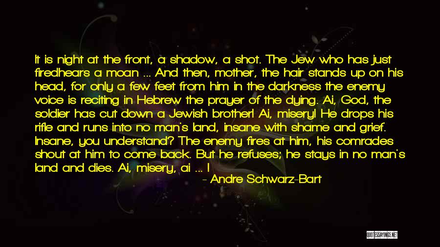 Enemy Brother Quotes By Andre Schwarz-Bart