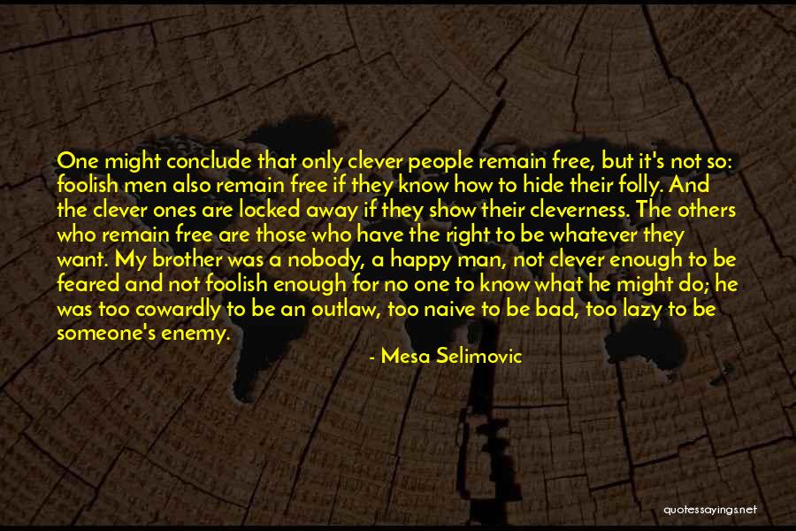 Enemy Brother Quotes By Mesa Selimovic