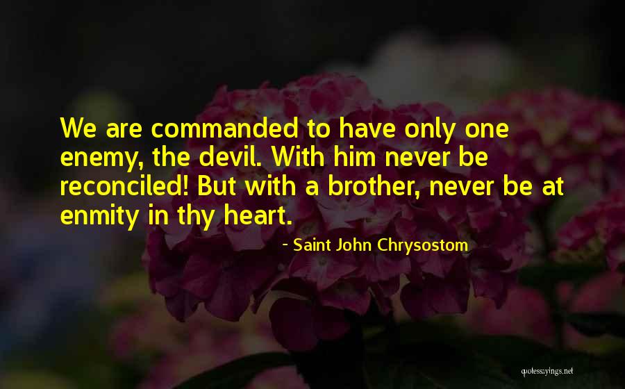 Enemy Brother Quotes By Saint John Chrysostom