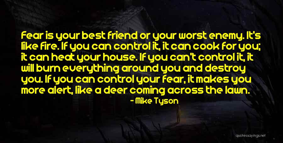 Enemy Fear Quotes By Mike Tyson Enemy Fear Quotes By Mike Tyson