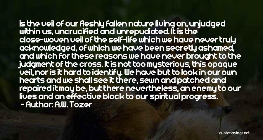 Enemy Of Progress Quotes By A.W. Tozer