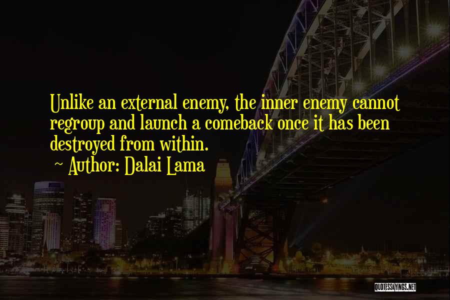 Enemy Within Quotes By Dalai Lama