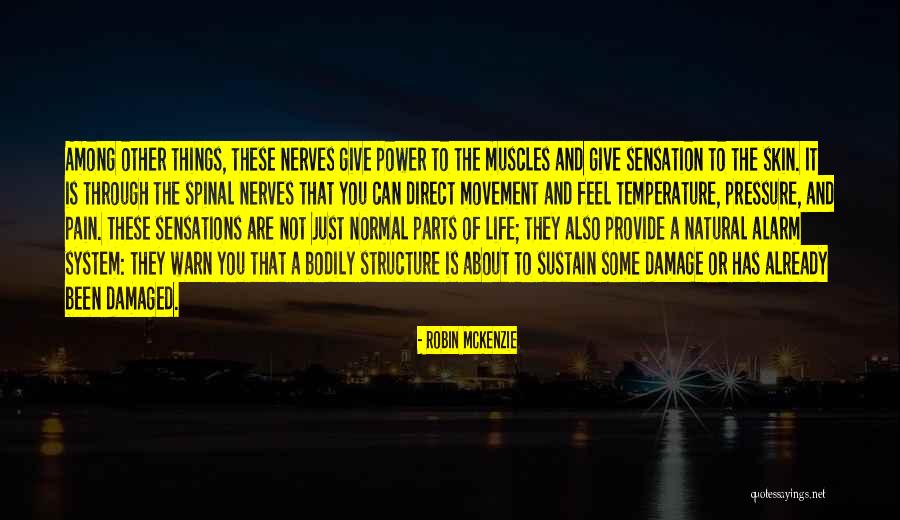 Energetic Integrity Quotes By Robin McKenzie Energetic Integrity Quotes By Robin McKenzie