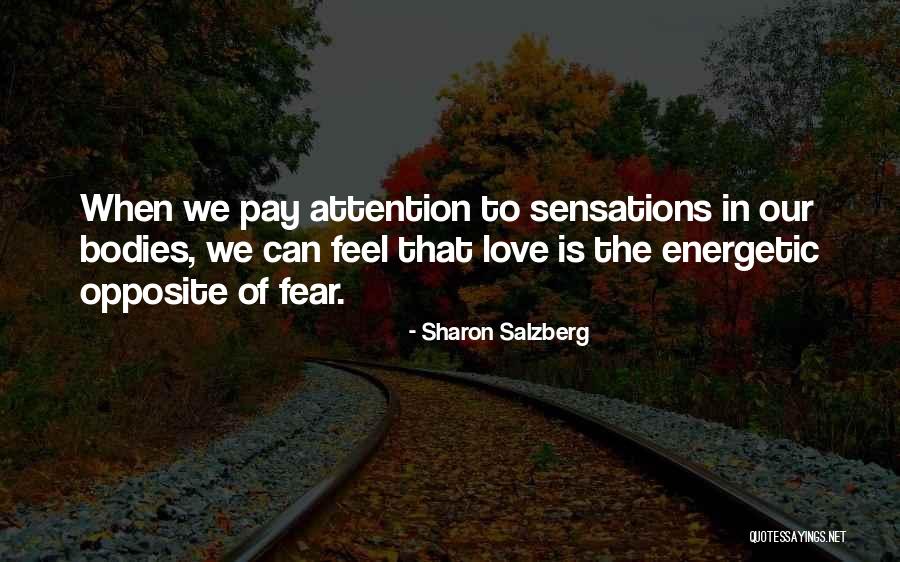 Energetic Love Quotes By Sharon Salzberg Energetic Love Quotes By Sharon Salzberg