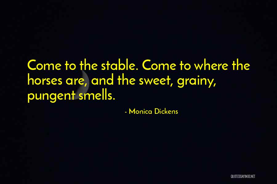 Energia Positiva Quotes By Monica Dickens Energia Positiva Quotes By Monica Dickens