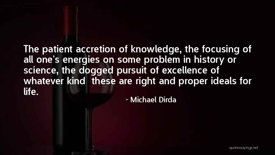 Energies In Life Quotes By Michael Dirda Energies In Life Quotes By Michael Dirda