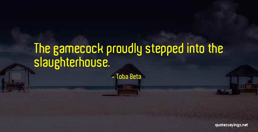Energija Fizika Quotes By Toba Beta