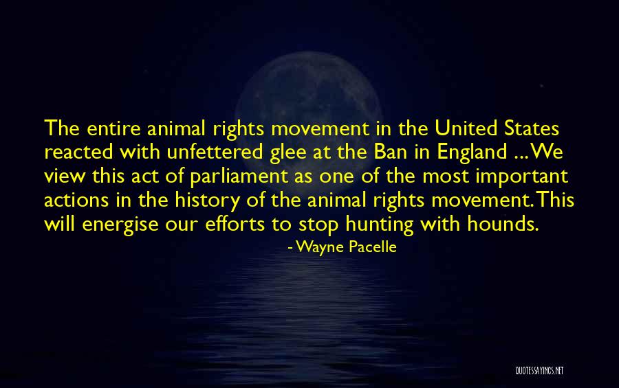 Energise Quotes By Wayne Pacelle Energise Quotes By Wayne Pacelle