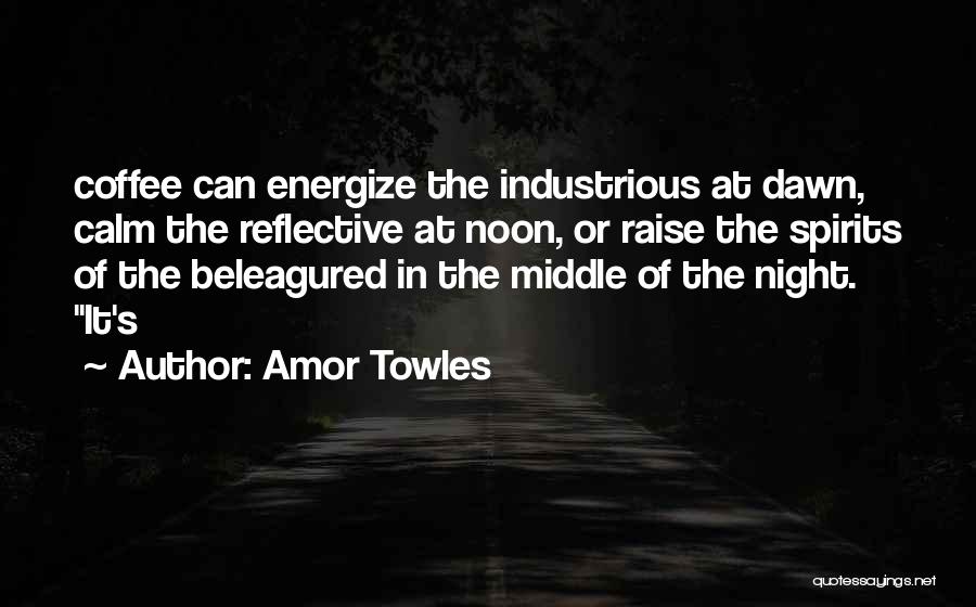 Energize Quotes By Amor Towles