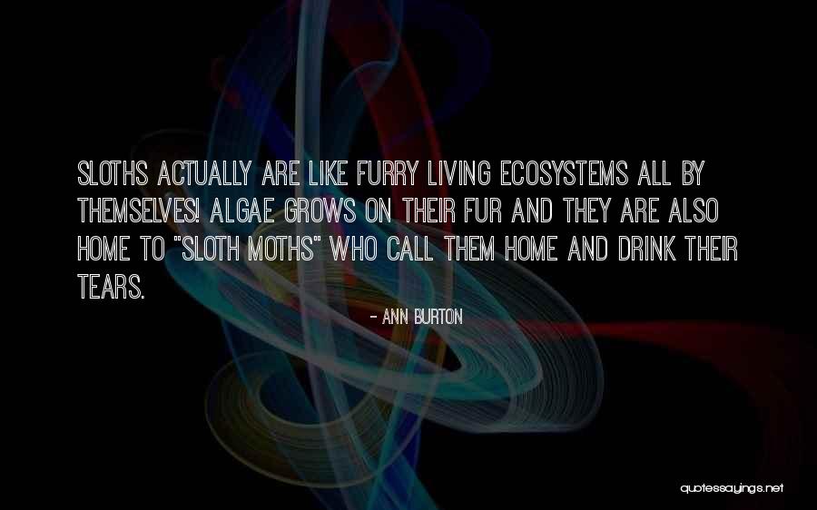 Energizes Clue Quotes By Ann Burton Energizes Clue Quotes By Ann Burton