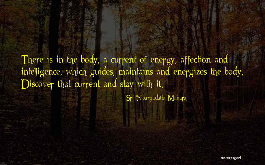 Energizes Quotes By Sri Nisargadatta Maharaj Energizes Quotes By Sri Nisargadatta Maharaj