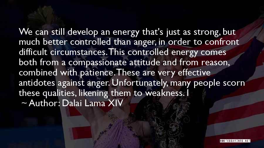 Energy And Attitude Quotes By Dalai Lama XIV