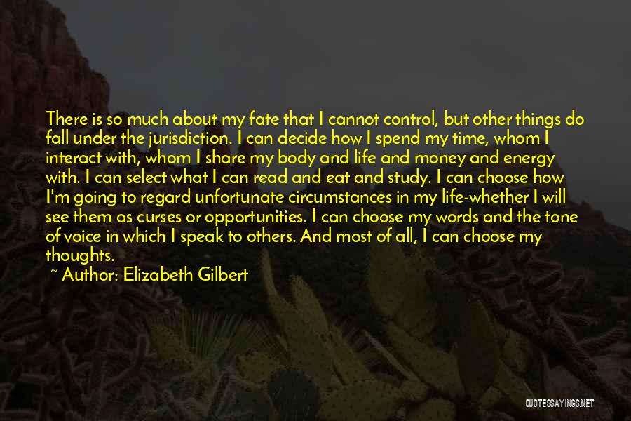 Energy And Attitude Quotes By Elizabeth Gilbert