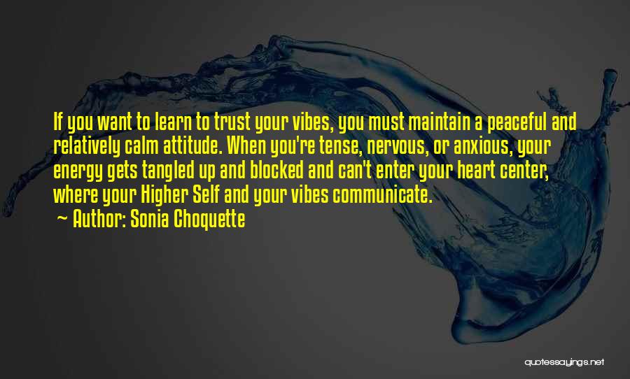 Energy And Attitude Quotes By Sonia Choquette