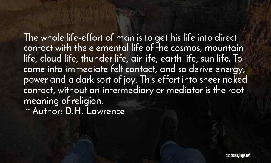 Energy And Effort Quotes By D.H. Lawrence