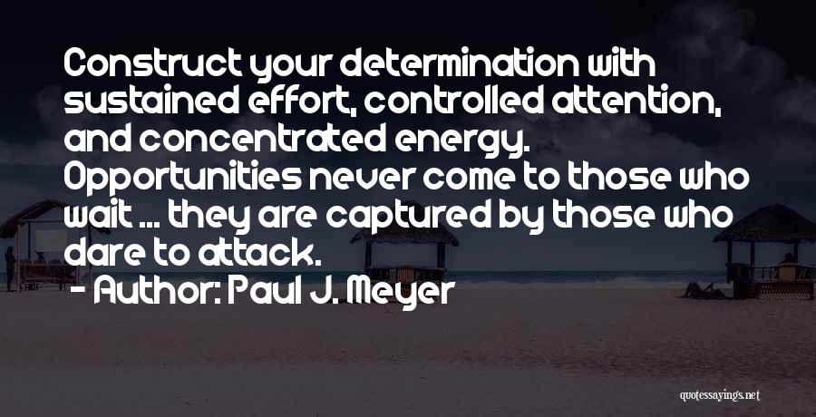 Energy And Effort Quotes By Paul J. Meyer