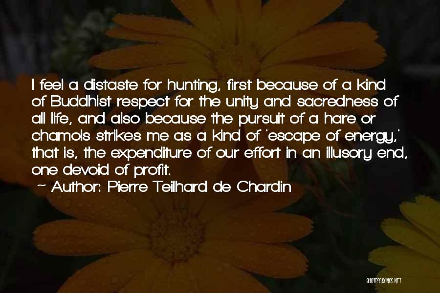 Energy And Effort Quotes By Pierre Teilhard De Chardin