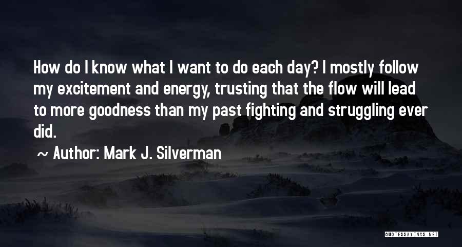 Energy And Excitement Quotes By Mark J. Silverman