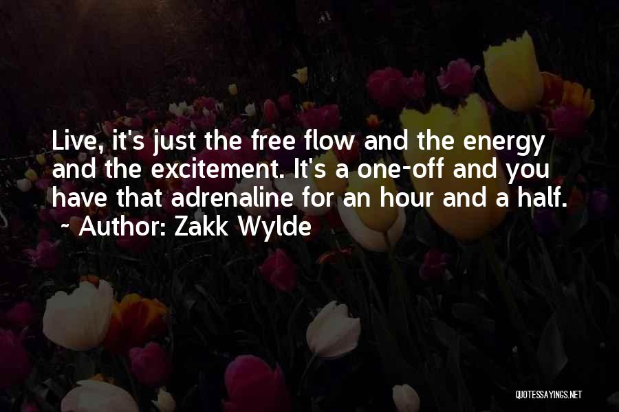 Energy And Excitement Quotes By Zakk Wylde