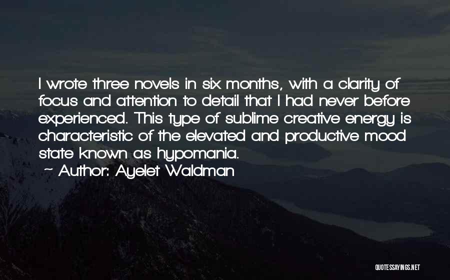 Energy And Focus Quotes By Ayelet Waldman