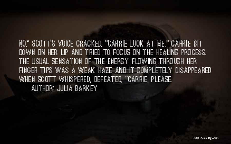 Energy And Focus Quotes By Julia Barkey