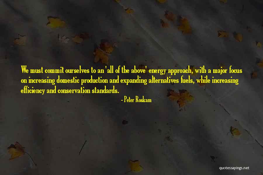 Energy And Focus Quotes By Peter Roskam