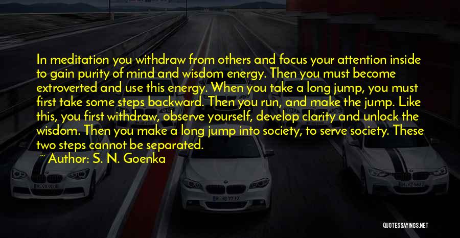 Energy And Focus Quotes By S. N. Goenka