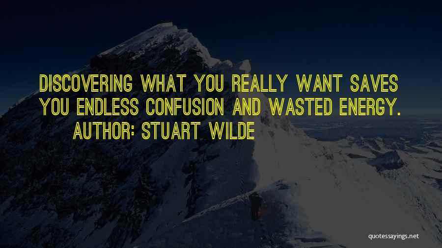 Energy And Focus Quotes By Stuart Wilde