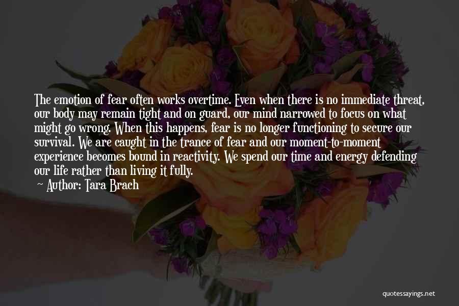 Energy And Focus Quotes By Tara Brach