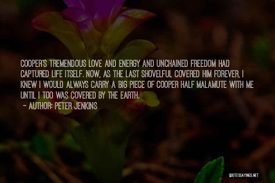 Energy And Life Quotes By Peter Jenkins