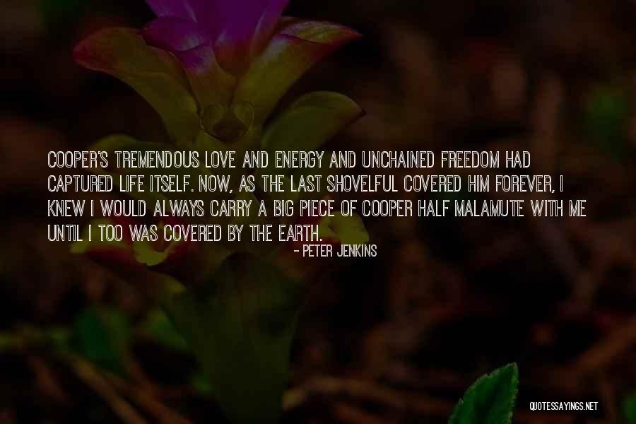 Energy And Life Quotes By Peter Jenkins