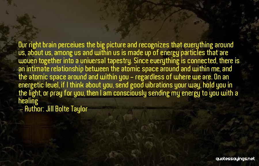 Energy And Light Quotes By Jill Bolte Taylor