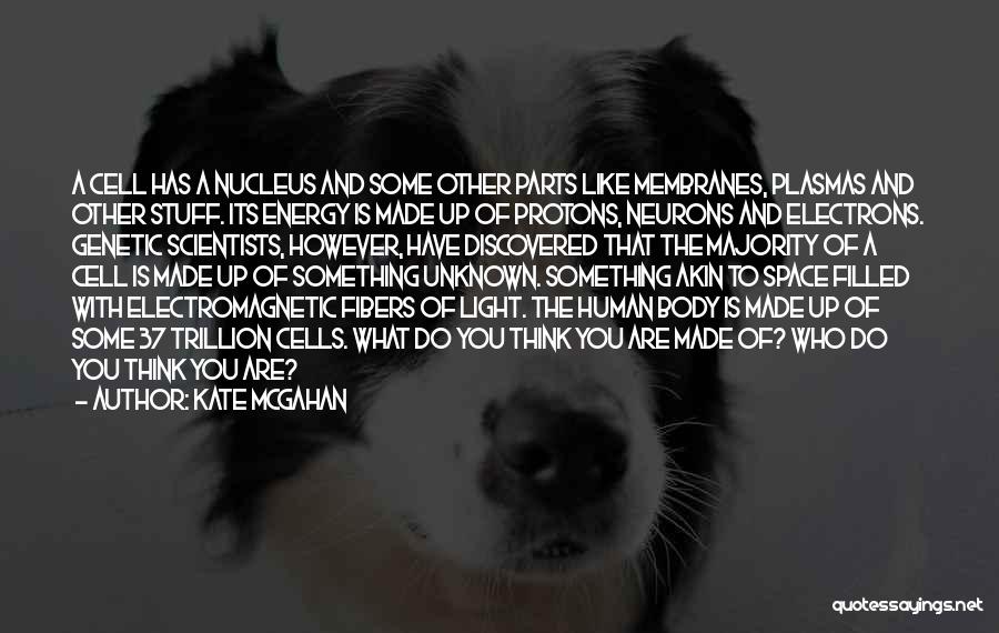 Energy And Light Quotes By Kate McGahan