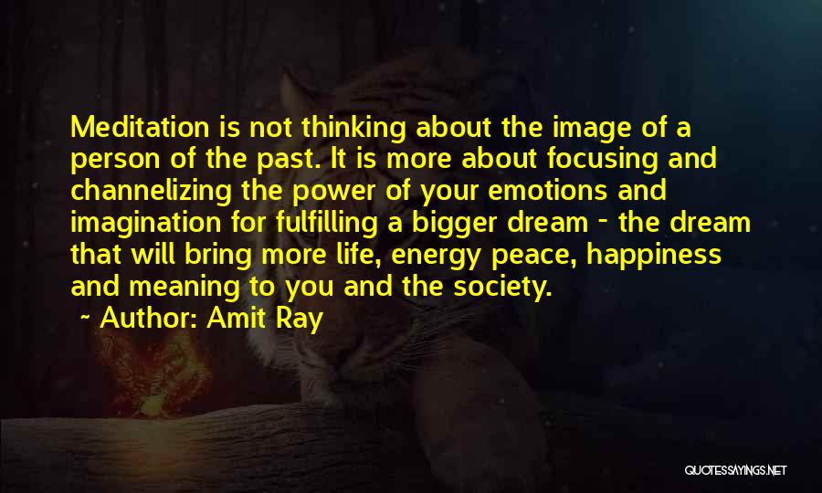 Energy And Society Quotes By Amit Ray