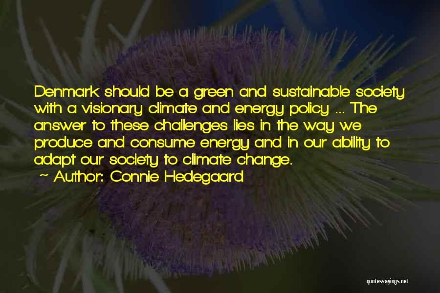 Energy And Society Quotes By Connie Hedegaard