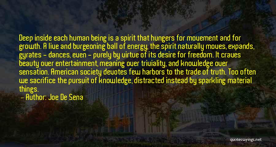 Energy And Society Quotes By Joe De Sena