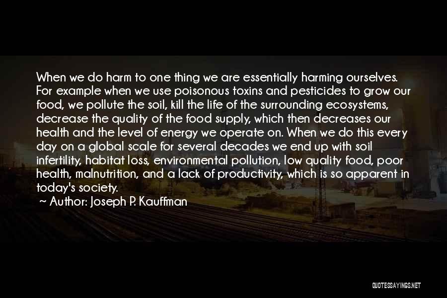 Energy And Society Quotes By Joseph P. Kauffman