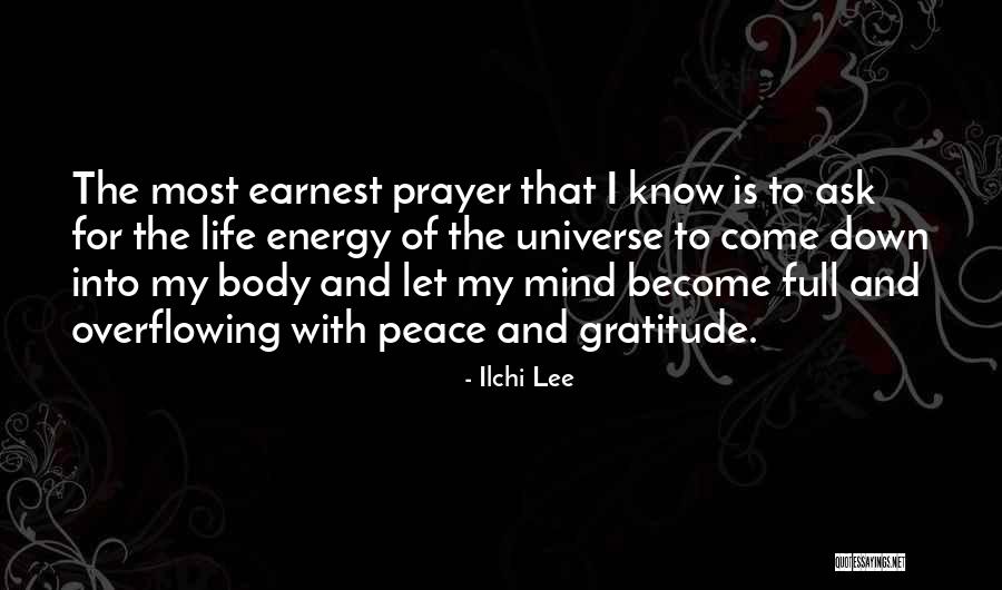 Energy And Spirit Quotes By Ilchi Lee