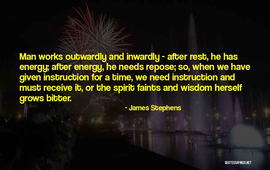 Energy And Spirit Quotes By James Stephens