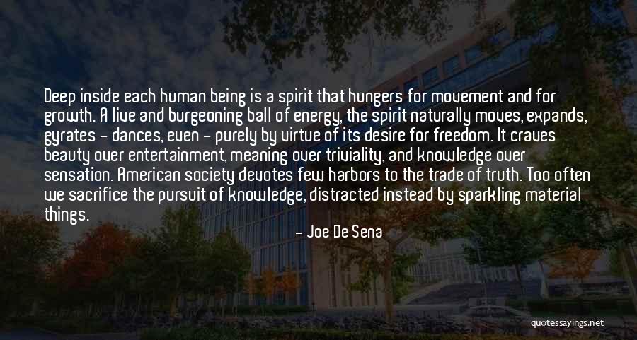 Energy And Spirit Quotes By Joe De Sena