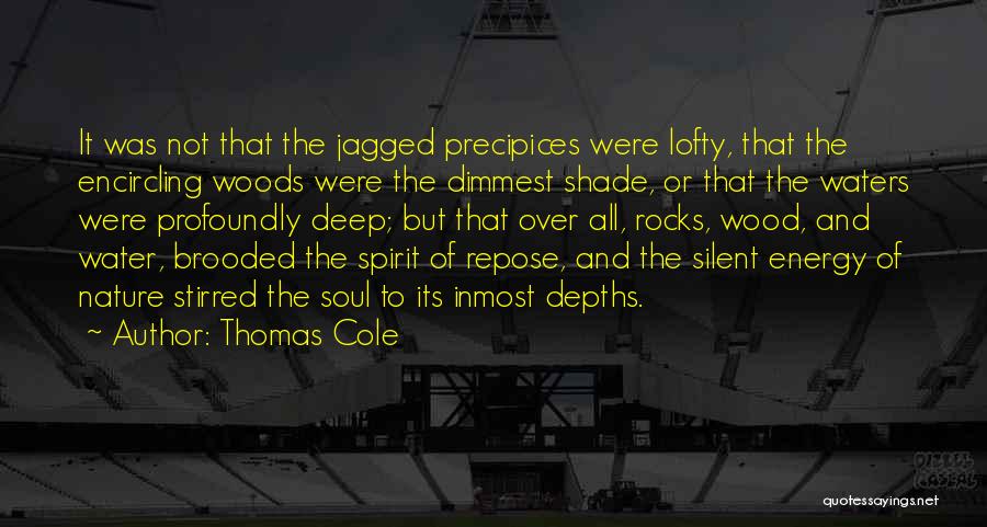 Energy And Spirit Quotes By Thomas Cole