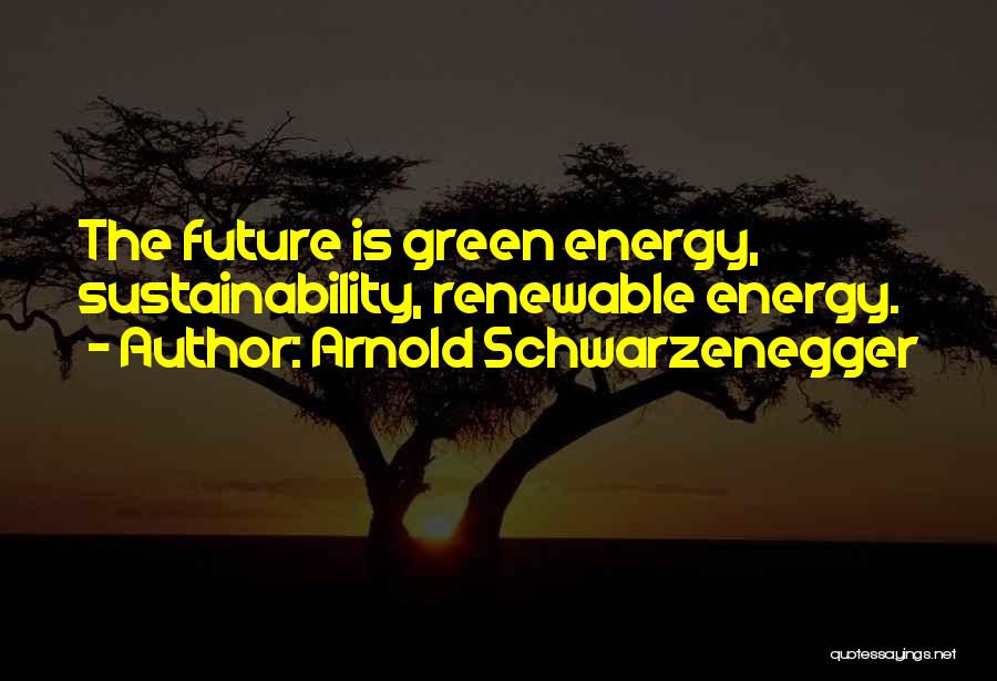 Energy And Sustainability Quotes By Arnold Schwarzenegger