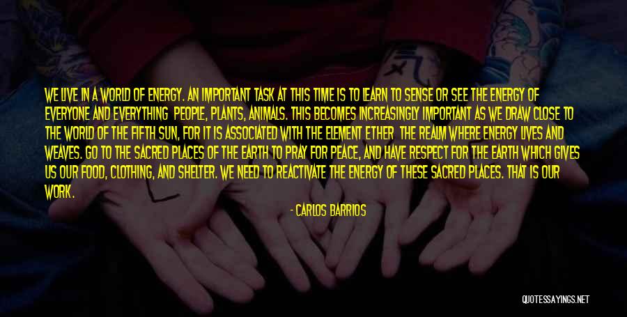 Energy At Work Quotes By Carlos Barrios