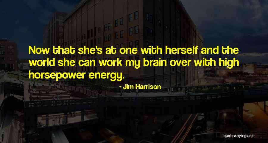 Energy At Work Quotes By Jim Harrison