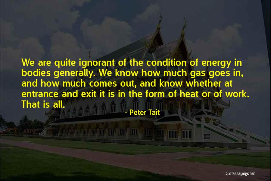 Energy At Work Quotes By Peter Tait